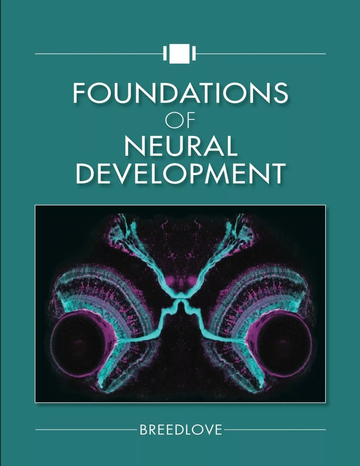 Foundations of Neural Development – Breedlove – PDF
