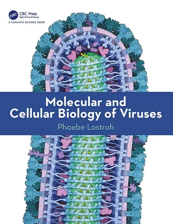 Molecular and Cellular Biology of Viruses – PDF